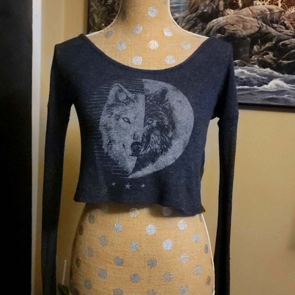 Hollister long sleeve crop top